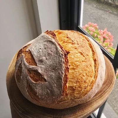 Milky Rustic Sourdough (pakai susu) Original