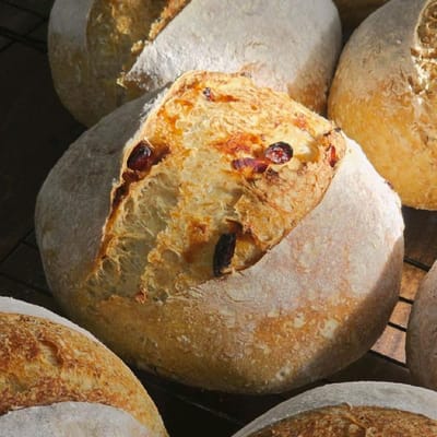 Rustic Sourdough Cranberry